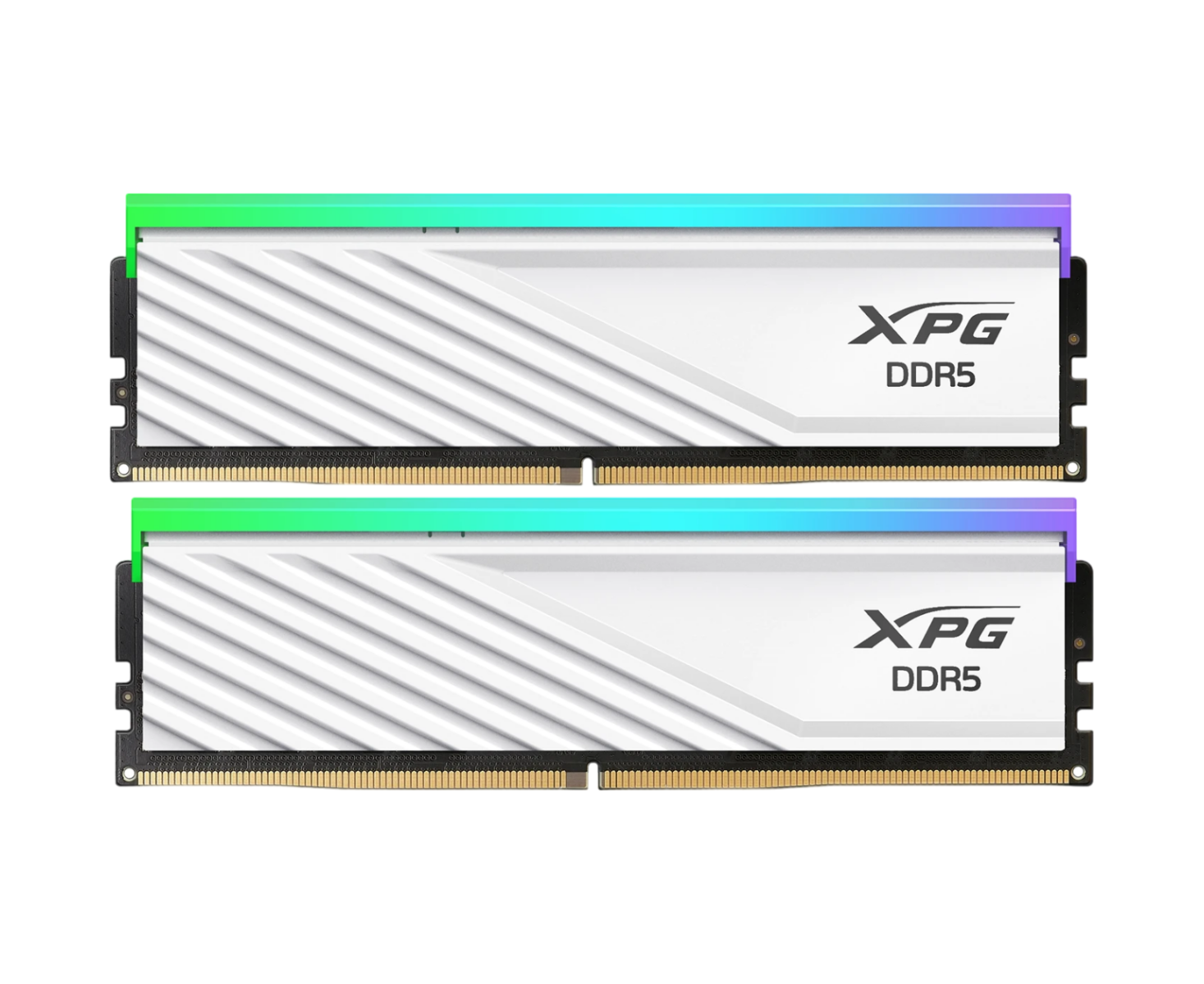 ОЗУ ADATA AX5 U6000 C3616 G-DTLABRWH DIMM DDR5-6000 32 GB (16 G Bx2) RGB