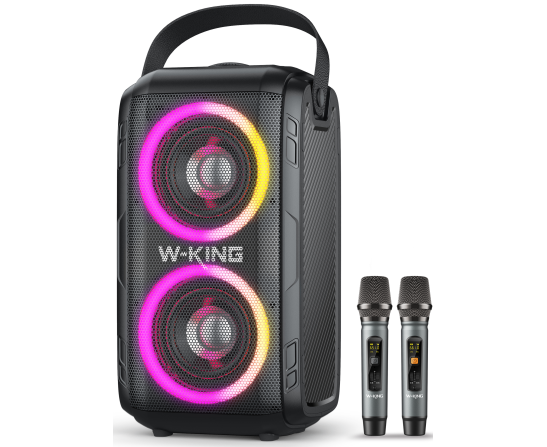 Портативная колонка W-King T9 II (Two mic) (черный)