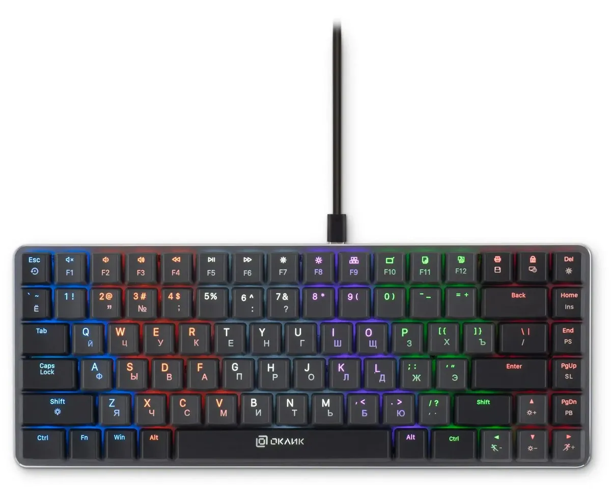 Клавиатура OKLICK K615 X (1934413) механическая черный/серебристый USB Multimedia for gamer LED