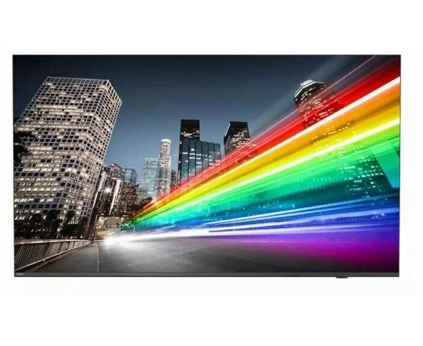 Коммерческий телевизор Philips 55 BFL2214/12